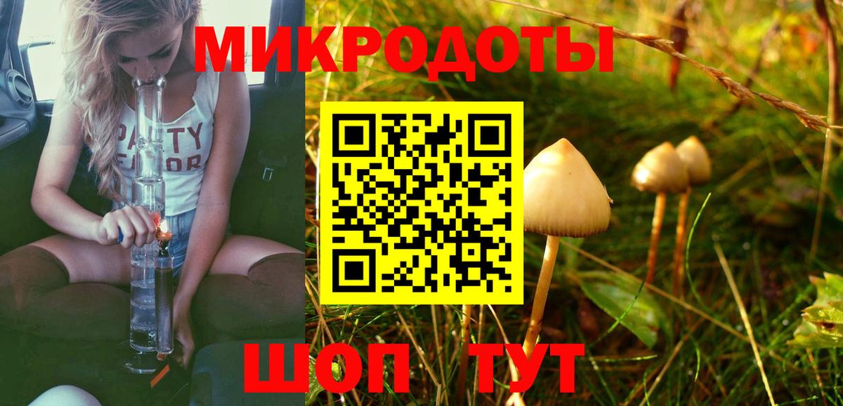 Псилоцибиновые грибы Cubensis  Галлюциногенные грибы MAGIC MUSHROOMS  Солнечногорск  Вход с VPN 